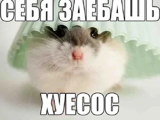 🌟 emoji Саня пендос Telegram sticker 14 of 55