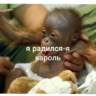 😄 emoji для зай Telegram sticker 9 of 18