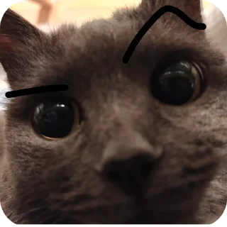 🐱 emoji Вендюшеа любимая Telegram sticker 20 of 21