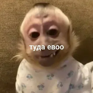 Sticker from для зай