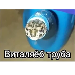 🥶 emoji Хуйня 2 Telegram sticker 7 of 120