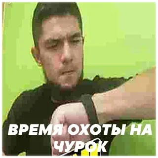 🐡 emoji Пётр Олегович Telegram sticker 18 of 32