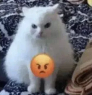 Sticker from MeMÎKaT