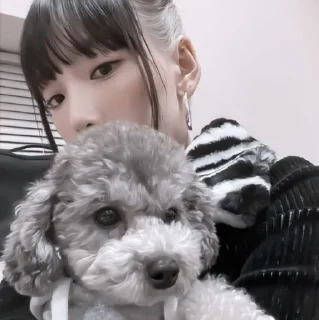 👩‍🎤 emoji #𝐚𝐞𝐬𝐭𝐡𝐞𝐭𝐢𝐜: taeyeon 👩🏻‍🎤 ;: by @paradismaudit Telegram sticker 18 of 40