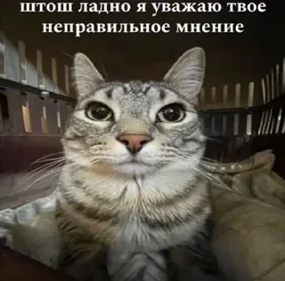 👎 emoji супер пупер стикеры Telegram sticker 17 of 29
