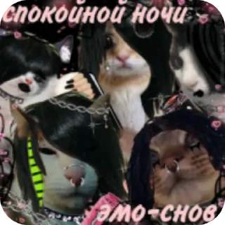 🖼 emoji Я писька?2 Telegram sticker 8 of 40