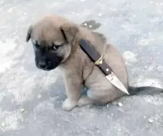 🔪 emoji злоебучий вилсаком 2.0 Telegram sticker 23 of 36