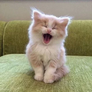 🥱 emoji злоебучий вилсаком 2.0 Telegram sticker 20 of 36