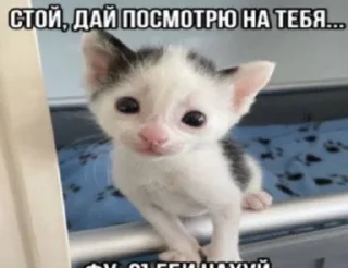 🌟 emoji стикеры от некита Telegram sticker 7 of 119