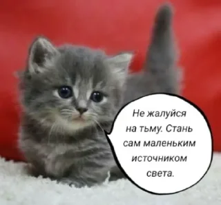 🧠 emoji Голые бляди.   @amare_shit Telegram sticker 18 of 120
