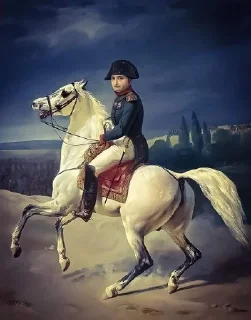 🌟 emoji Napoleon🇲🇫 Чат✨👉 @PiarSubCoin Telegram sticker 9 of 43