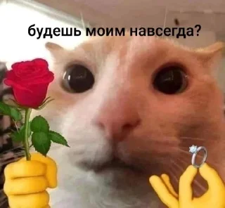 👀 emoji это будем мы! Telegram sticker 18 of 22