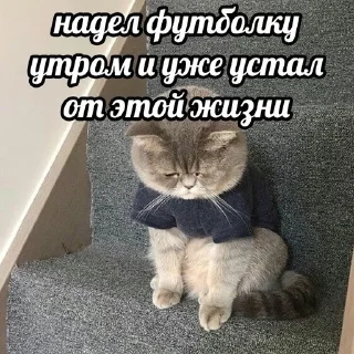 😭 emoji это будем мы! Telegram sticker 10 of 22