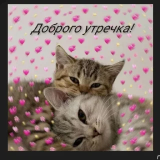 🌟 emoji это будем мы! Telegram sticker 21 of 22