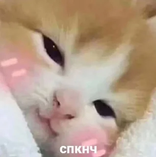 😊 emoji Миииил💗 Telegram sticker 22 of 49
