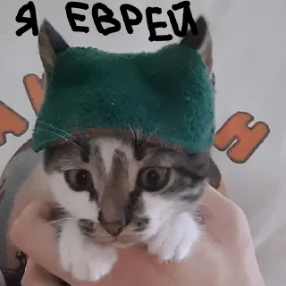 😁 emoji степа Telegram sticker 17 of 26