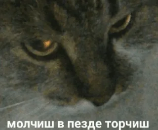 😡 emoji У меня расстройство личности Telegram sticker 21 of 83