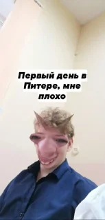 🐴 emoji Гении 8 класса Telegram sticker 16 of 34