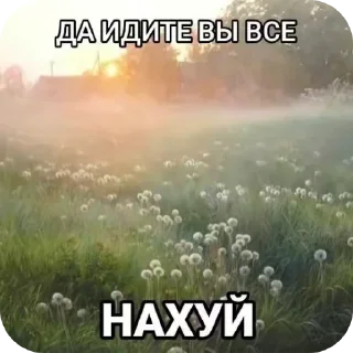 🌾 emoji Чб омежка Telegram sticker 24 of 35
