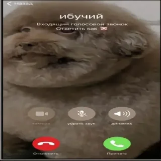 Sticker from Ебучие