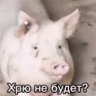 🤩 emoji Нахрюк-бригада @TgEmodziBot Telegram sticker 6 of 120