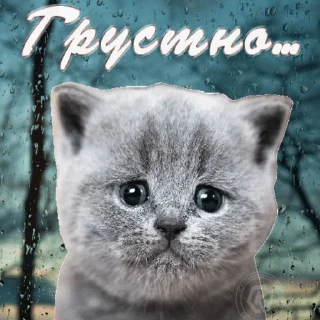 😢 emoji j++шневый пирог Telegram sticker 17 of 61