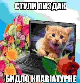 🌟 emoji Слава Україні/авт: @Eduard_Prime Telegram sticker 16 of 113