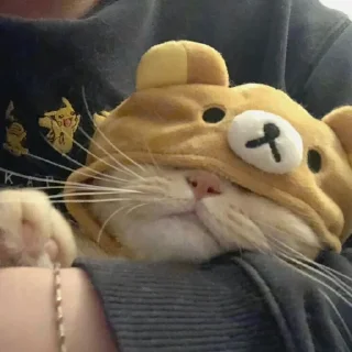 😪 emoji Милый котик🌸💗 Telegram sticker 8 of 21