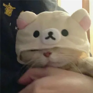 😪 emoji Милый котик🌸💗 Telegram sticker 9 of 21
