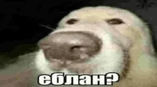 🤨 emoji Genshin Drop Говно Telegram sticker 3 of 25