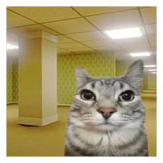 🫥 emoji Кот тупой Telegram sticker 19 of 32