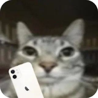 🫥 emoji Кот тупой Telegram sticker 10 of 32