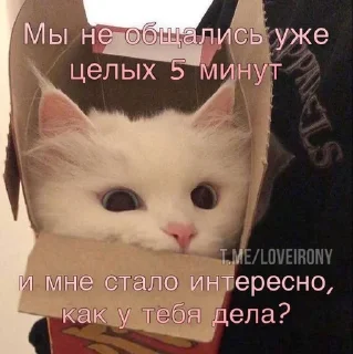 🙃 emoji Котявки Telegram sticker 24 of 50