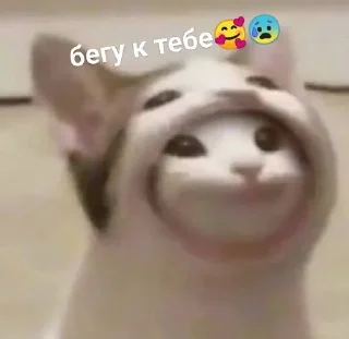 😈 emoji для заек :3 Telegram sticker 14 of 16