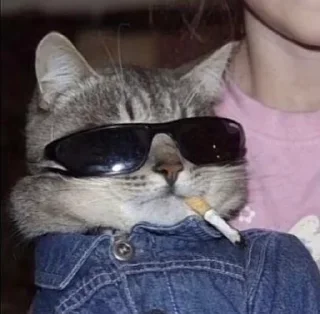 🌟 emoji vital cats Telegram sticker 14 of 120