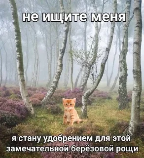 🌟 emoji кевин бабах Telegram sticker 14 of 53