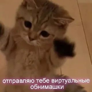 Sticker from мур