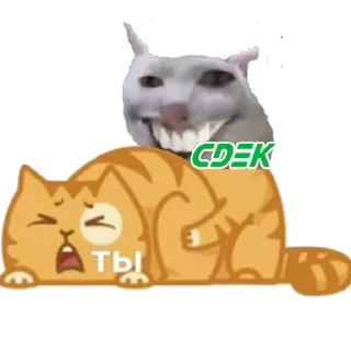 😭 emoji /hw/я ты Telegram sticker 24 of 28