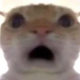 🤯 emoji Котики від ББЛ Telegram sticker 7 of 27