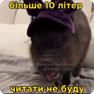🤓 emoji рандом3 @shashluchokstickers Telegram sticker 13 of 45