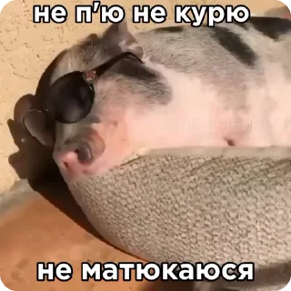 😎 emoji рандом3 @shashluchokstickers Telegram sticker 22 of 45
