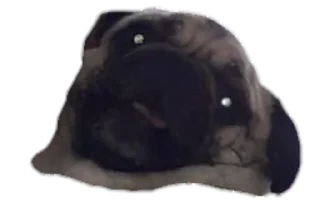 👺 emoji ОпапопА Telegram sticker 6 of 22
