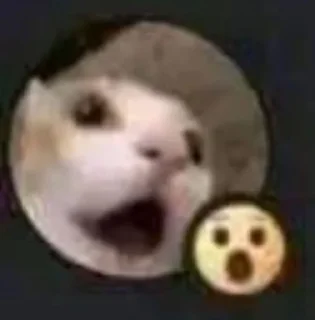 😮 emoji Пиздатые коты Telegram sticker 18 of 97
