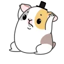 🙏 emoji Морская свинка @TgSticker Telegram sticker 18 of 20