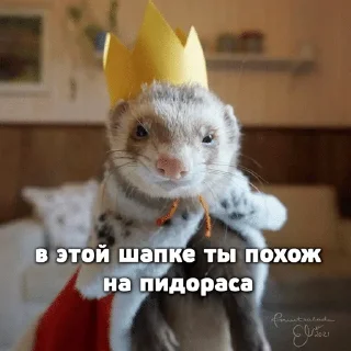 🌟 emoji Больше хорьков богу хорьков Telegram sticker 17 of 120
