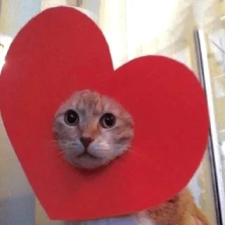 ❤️ emoji Best Telegram sticker 18 of 66
