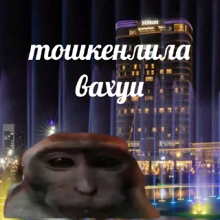 😳 emoji vahui_au Telegram sticker 6 of 21