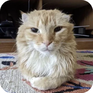 👍 emoji Ересь лол Telegram sticker 12 of 90