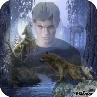 🌟 emoji JACOB BLACK/TAYLOR LAUTNER Telegram sticker 5 of 40