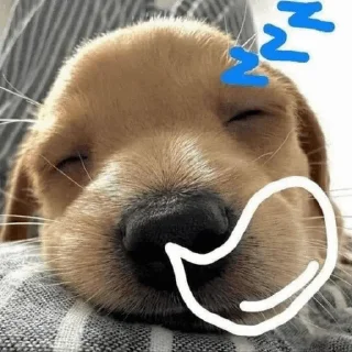 💤 emoji pickme mindset Telegram sticker 5 of 119